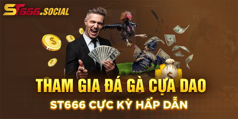 Tham gia đá gà cựa dao ST666 cực kỳ hấp dẫn 