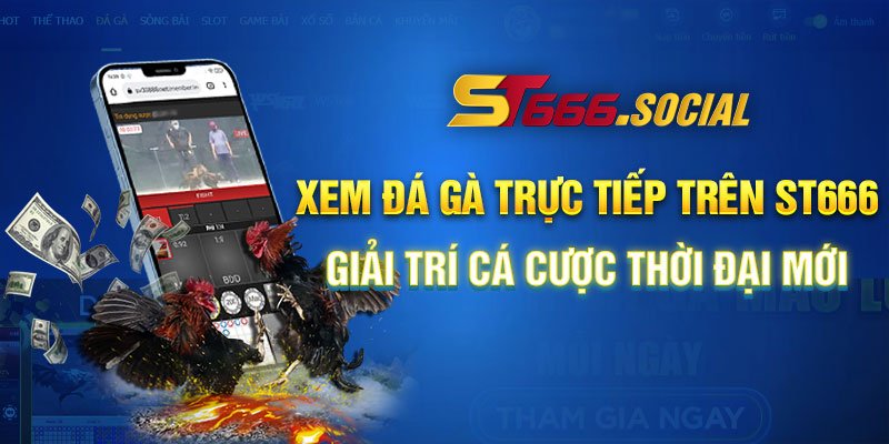 Đá gà trực tiếp trên link ST666