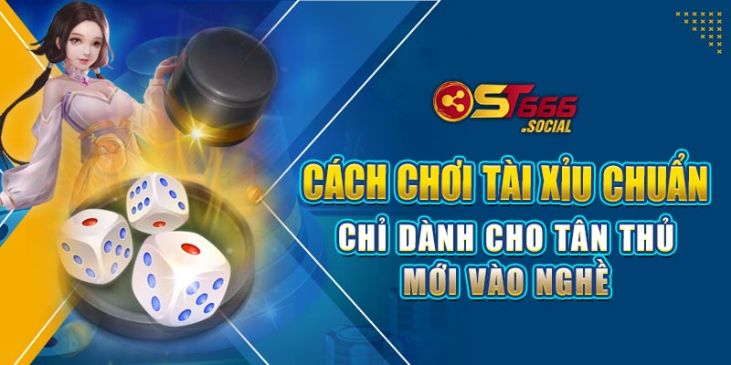 Cách Chơi Tài Xỉu Chuẩn Chỉ Dành Cho Tân Thủ Mới Vào Nghề