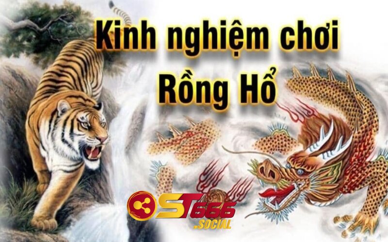 Tổng hợp mẹo chơi Rồng Hổ hiệu quả nhất