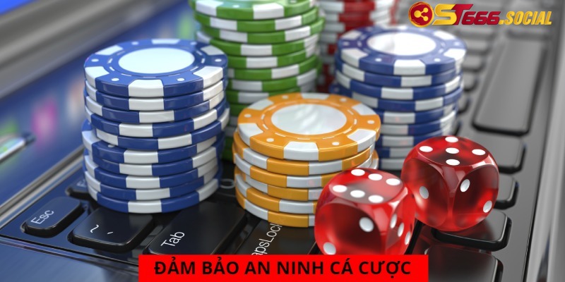 Bạn có thể yên tâm về khâu an ninh dữ liệu