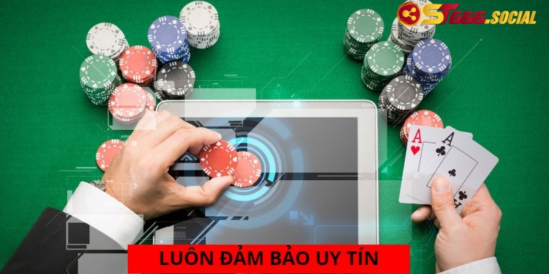 Thương hiệu luôn đảm bảo về độ uy tín, xanh chín